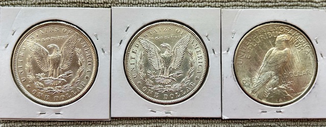 Started-A-Dansco-7172---1878-To-1999-Dollar-Date-Set