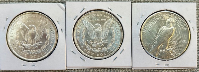 Started-A-Dansco-7172---1878-To-1999-Dollar-Date-Set