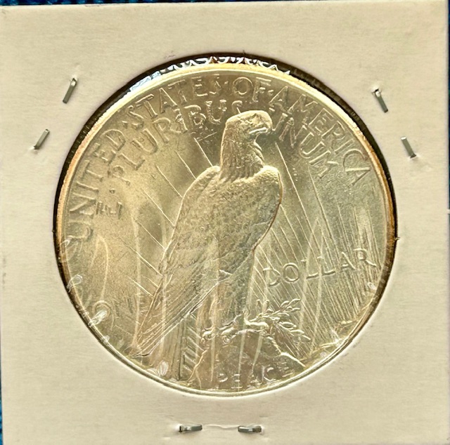 Started-A-Dansco-7172---1878-To-1999-Dollar-Date-Set