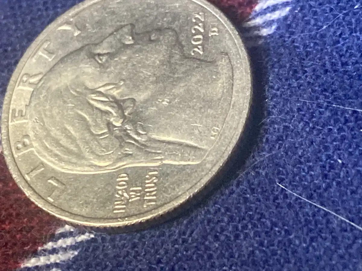 Is-This-An-Error-On-A-2022-D-Quarter