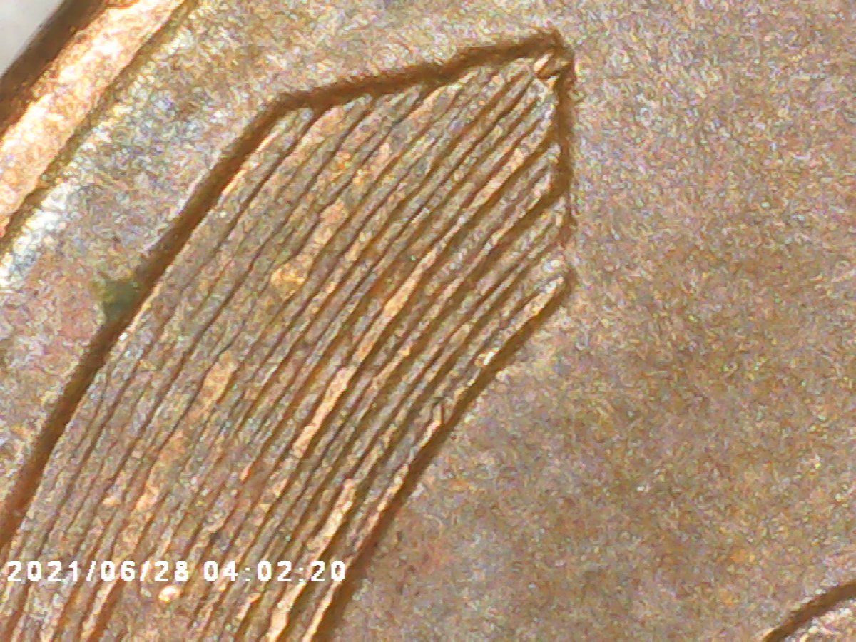 1955-Double-Die-Obverse-Wheat-Penny