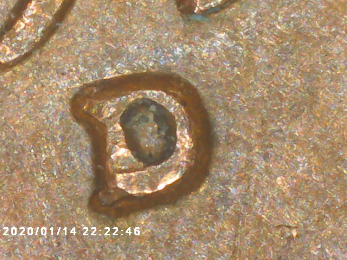 1950-Wheat-Penny-Has-At-A--WRPM-012