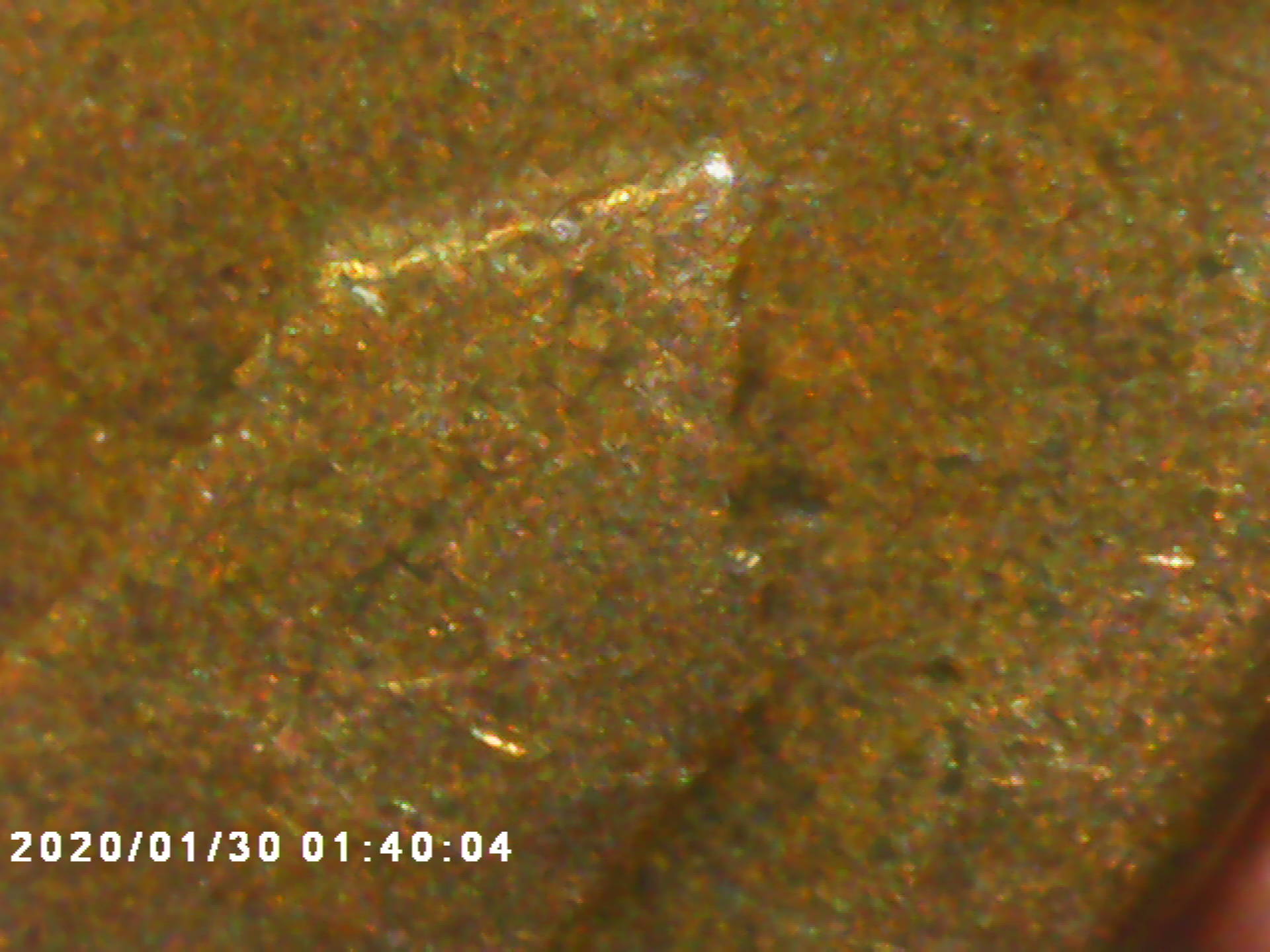 1919-Wheat-Pretty-Worn-Need-To-See-What-You-See