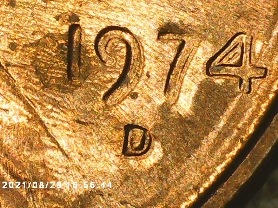 1974-D-MD-Or-DDO?-If-MD-Please-Explain