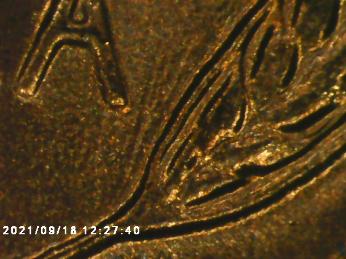 I-Need-Help-On-This-57-D-Wheat-Penny-Not-For-Sure-If-It's-A-DDO-But-Know-It-Is-A-DDR-Just-Haven't-Fo