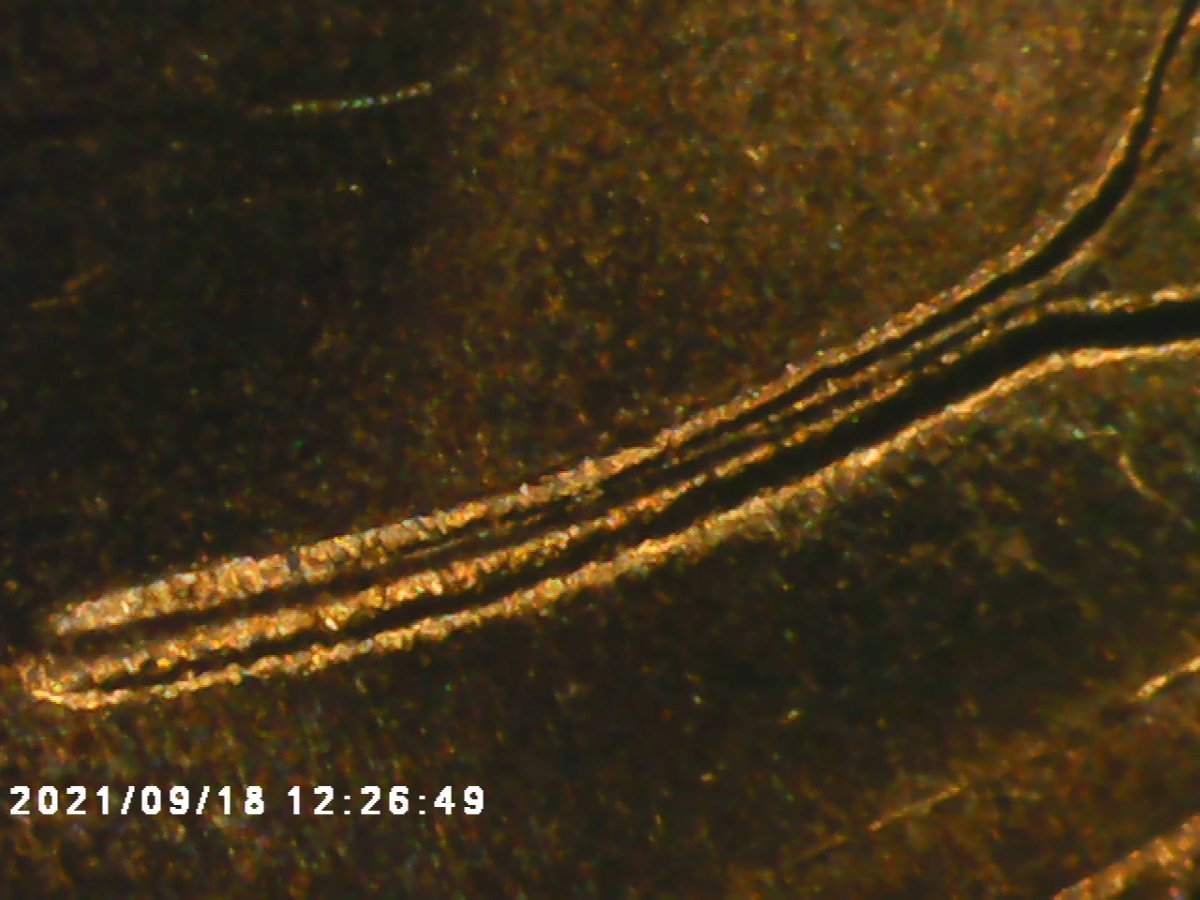 I-Need-Help-On-This-57-D-Wheat-Penny-Not-For-Sure-If-It's-A-DDO-But-Know-It-Is-A-DDR-Just-Haven't-Fo