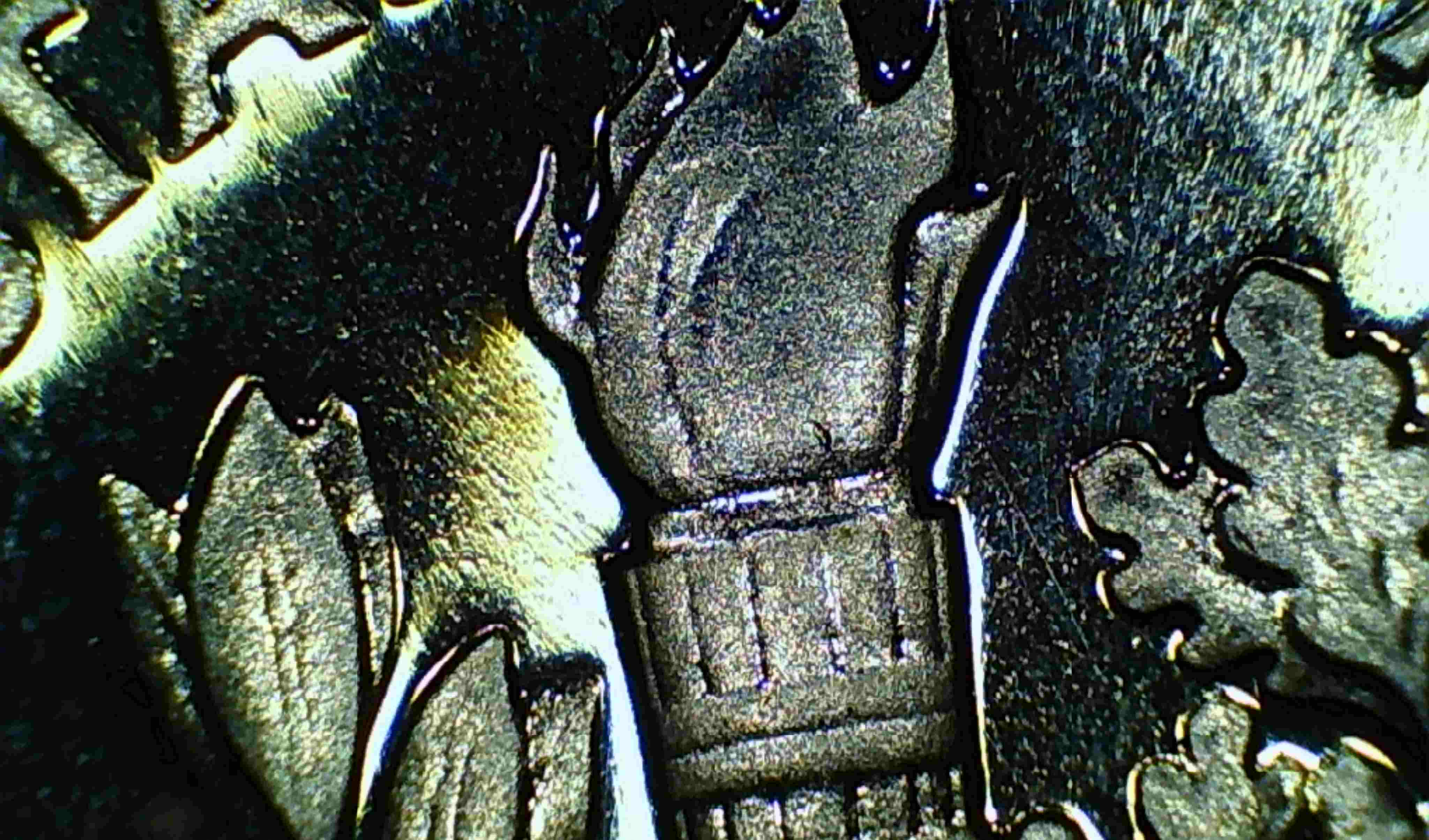 1963-Dime-Deep-Cameo-I-Believe-It-To-Be-MS-66-Or-Better.