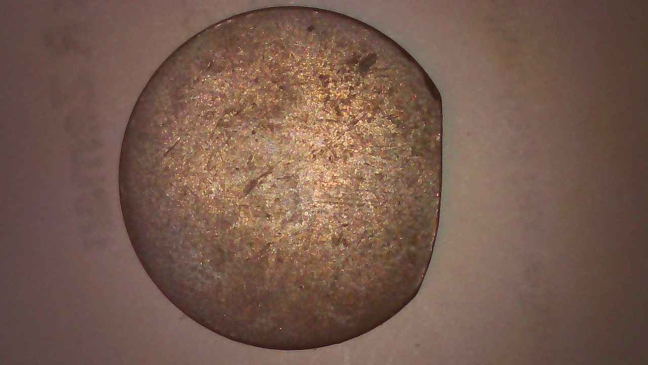 1865-Indian-Head-Die-Clip-&-Blank-Reverse?