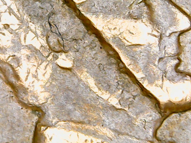 1955-Lincoln-Penny-With-Die-Gouge