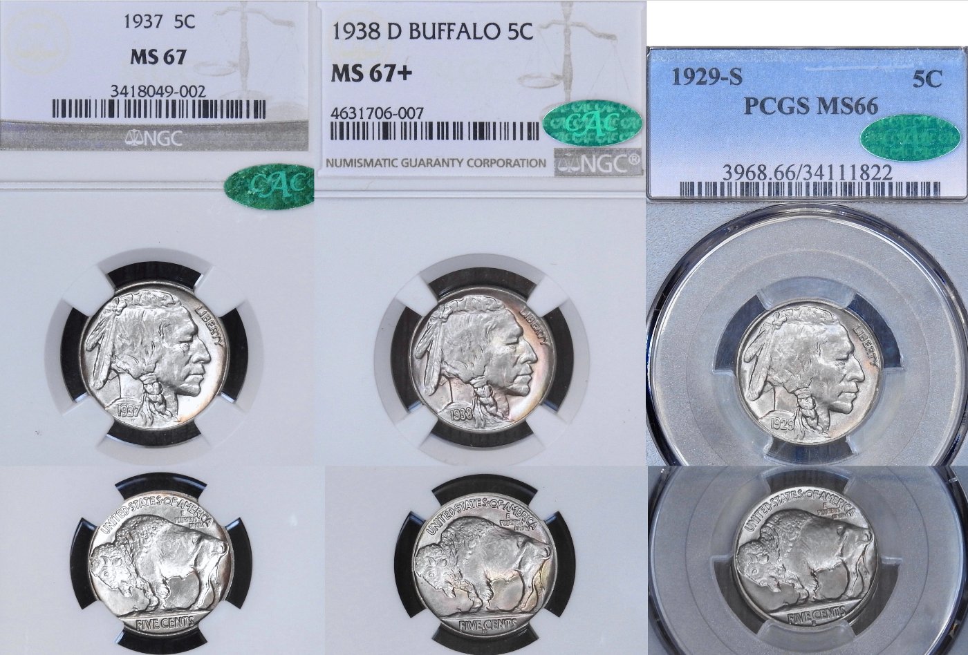 Buffalo-Nickel-Type-Set