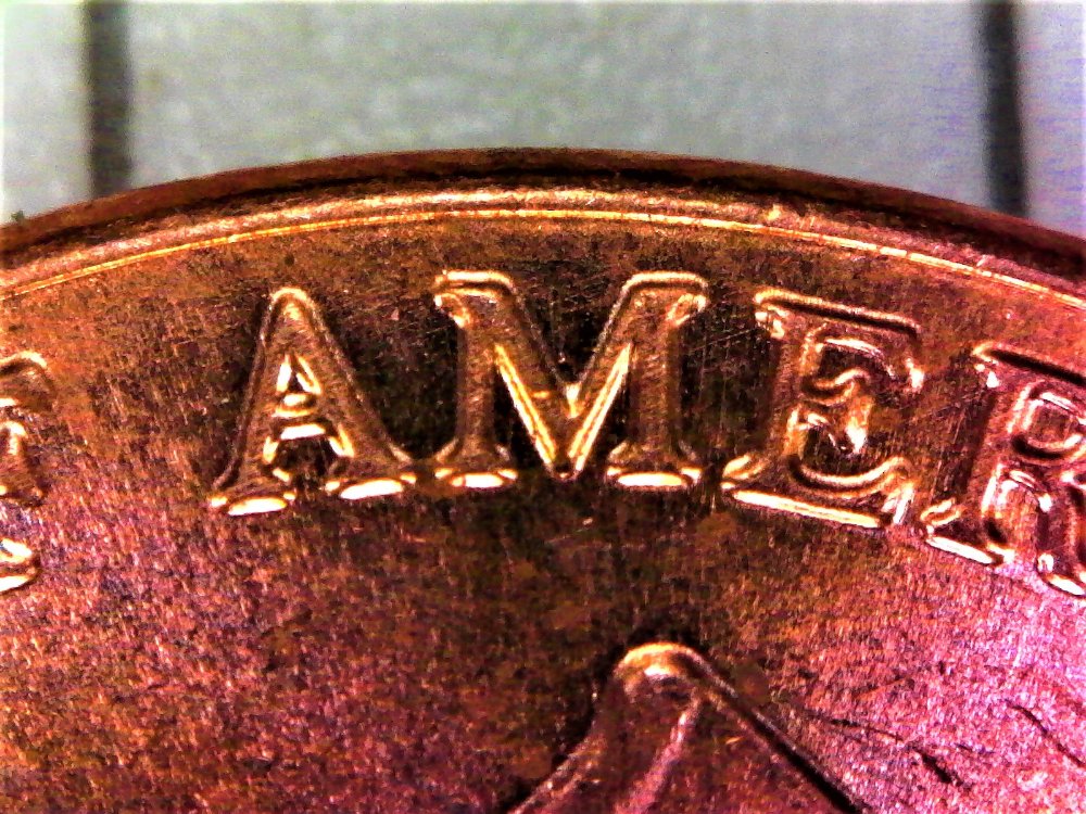 2019-D-Penny-Doubled-Earlobe-Possible-DDR?