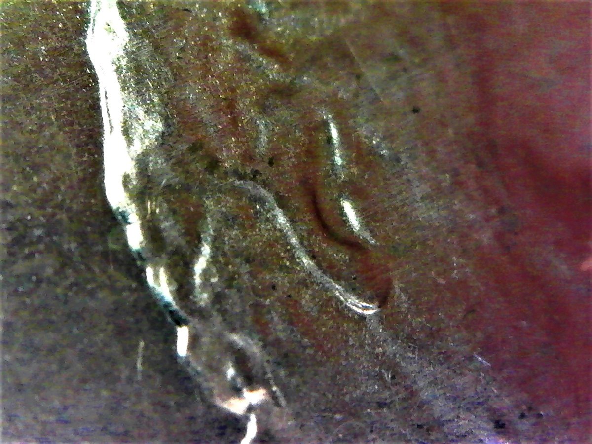 2019-D-Penny-Doubled-Earlobe-Possible-DDR?