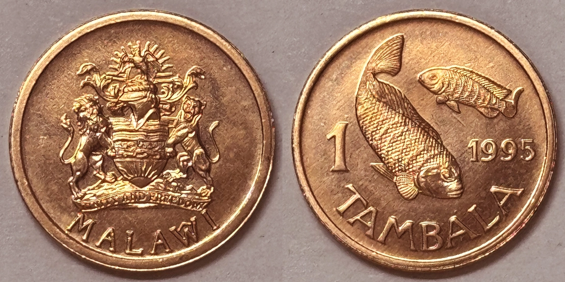 Around-The-World-With-Coins---A-Coin-Geography-Game