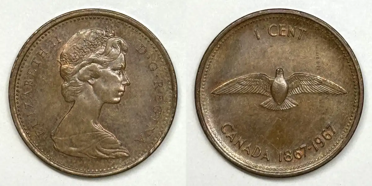 Post-Your-Bird-Coins