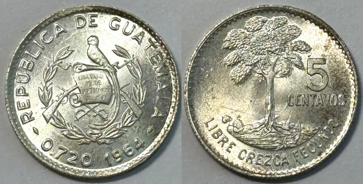 Post-Your-Coins-And-Medals-With-Trees