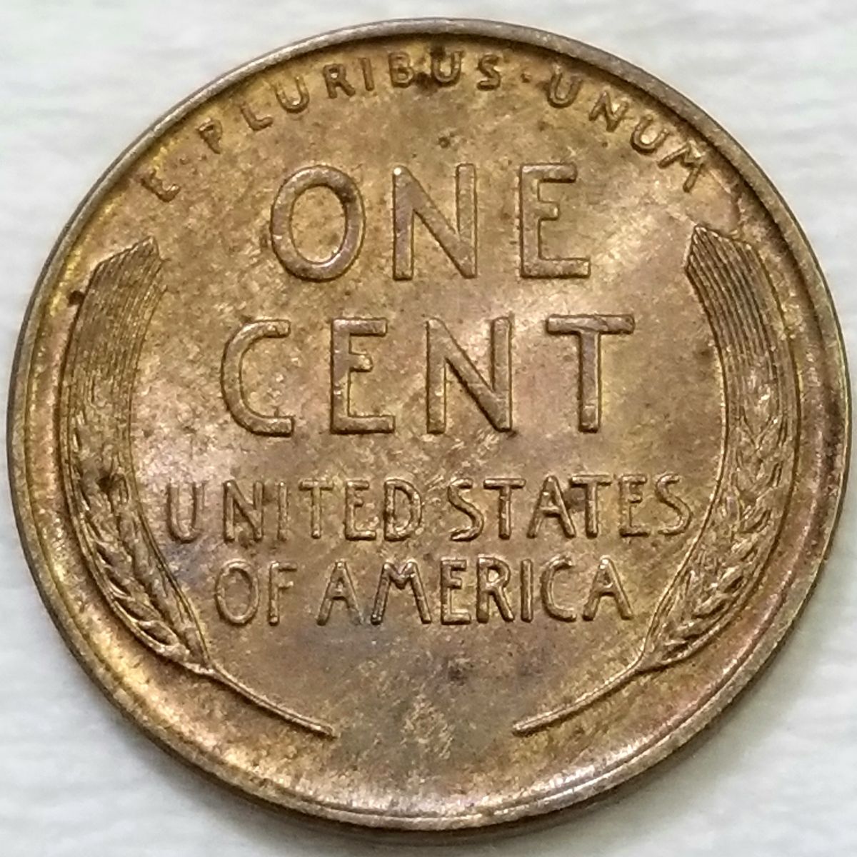 1936-P-1-DO-002-LWC-Found-In-The-Wild-Today