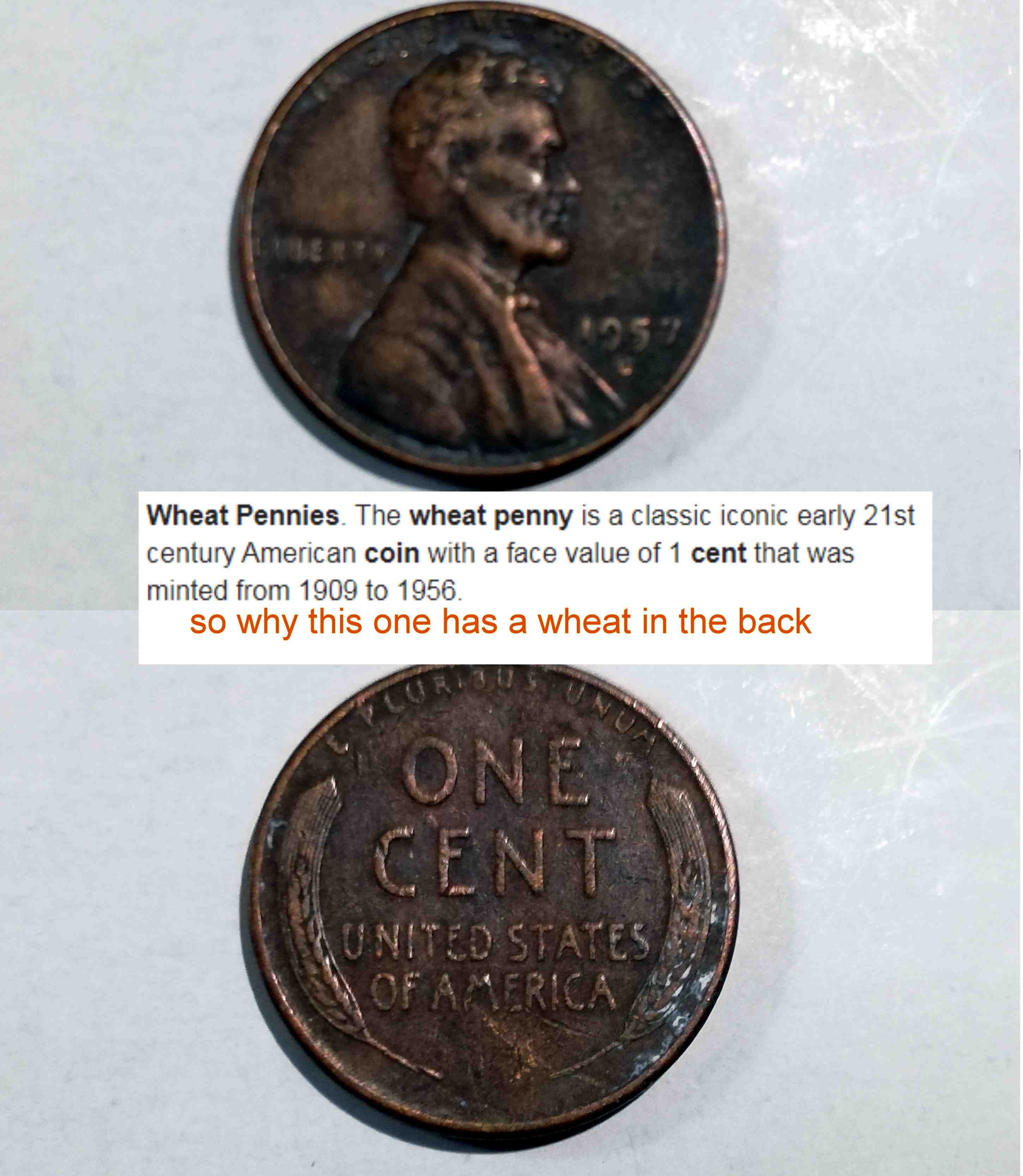 1957-Penny-With-A-Wheat-In-The-Back?