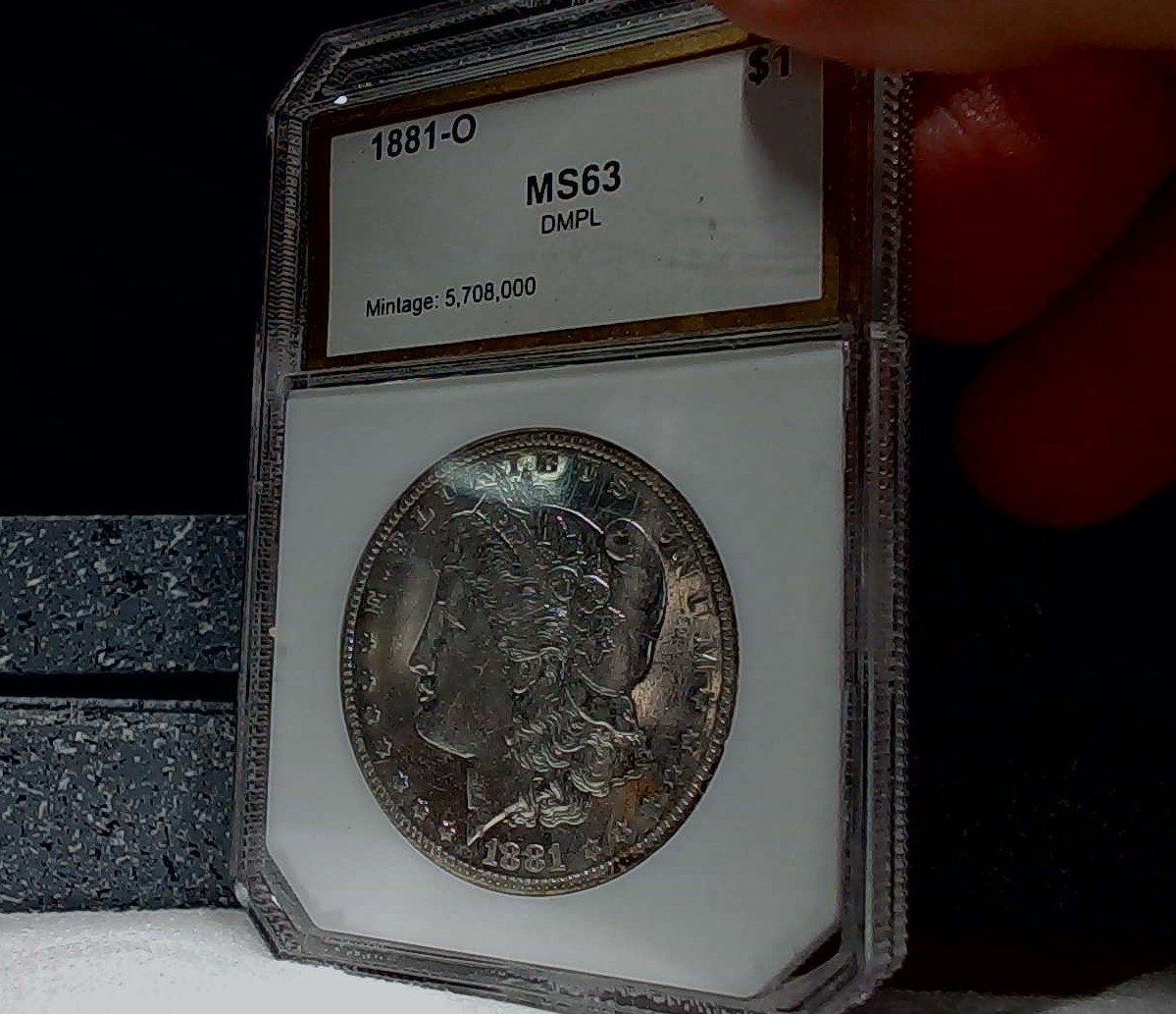 For-Grading---1881-O-Morgan-Dollar