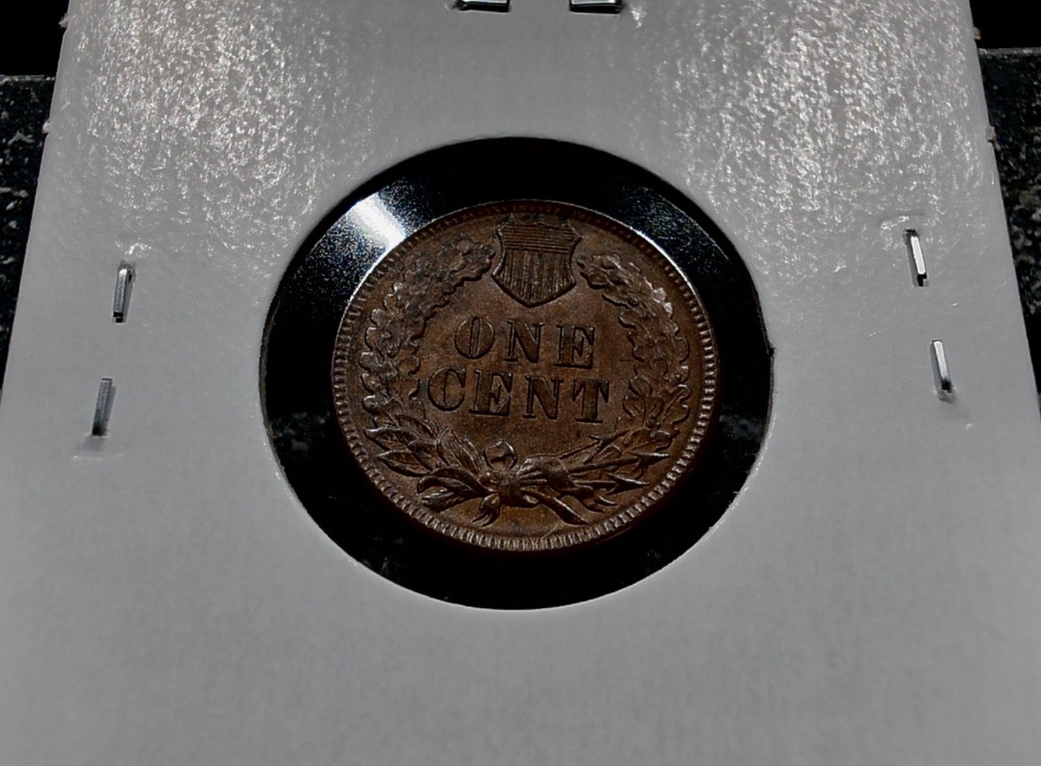 For-Grading---1893-Indian-Head-Cent