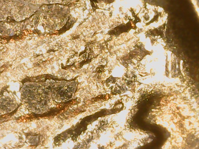1960-D-LD--LMC--Lamination-Or-Strike-Through?