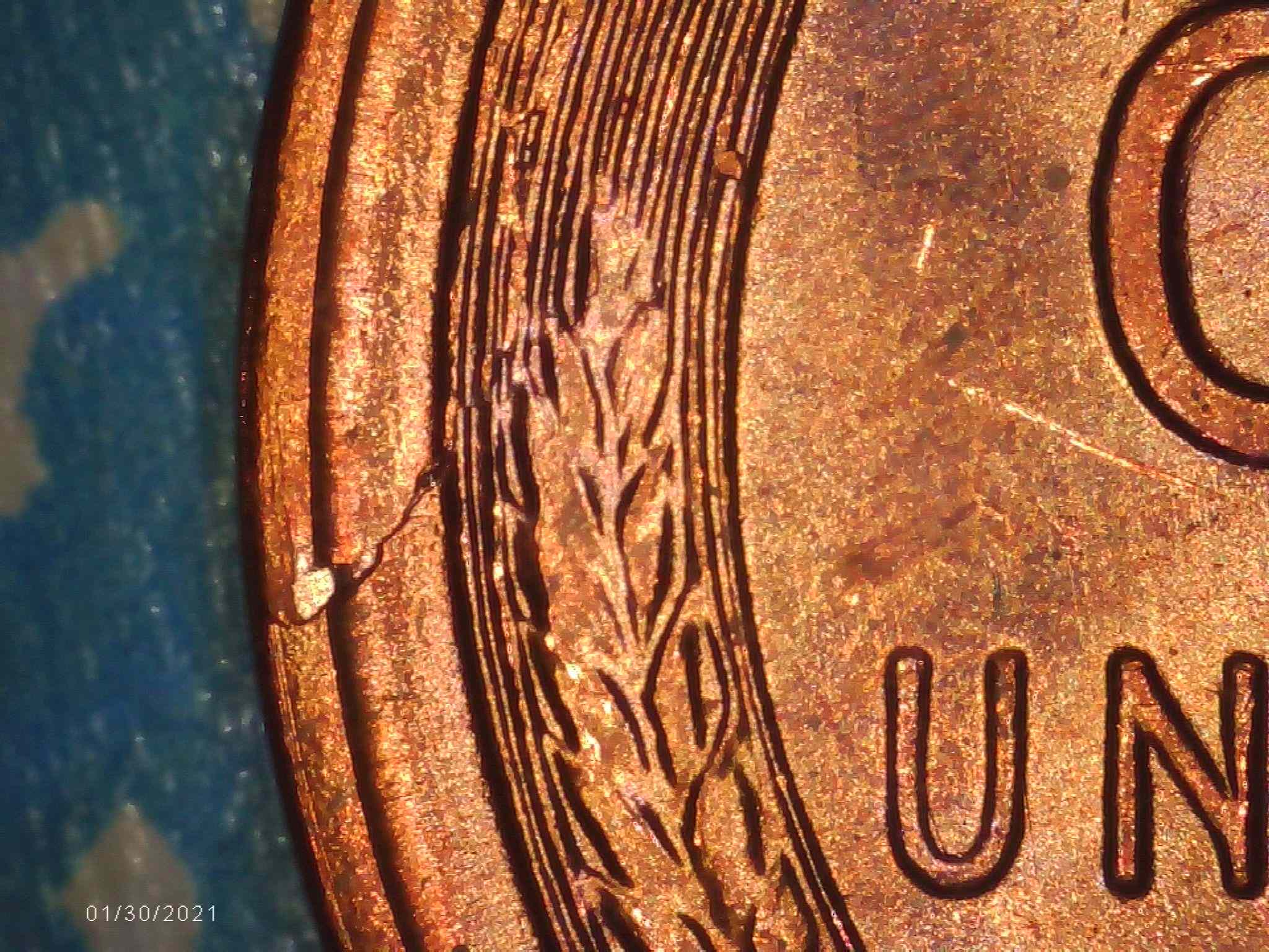 1955-S-One-Cent-Unknown-Error-Or-Damage?
