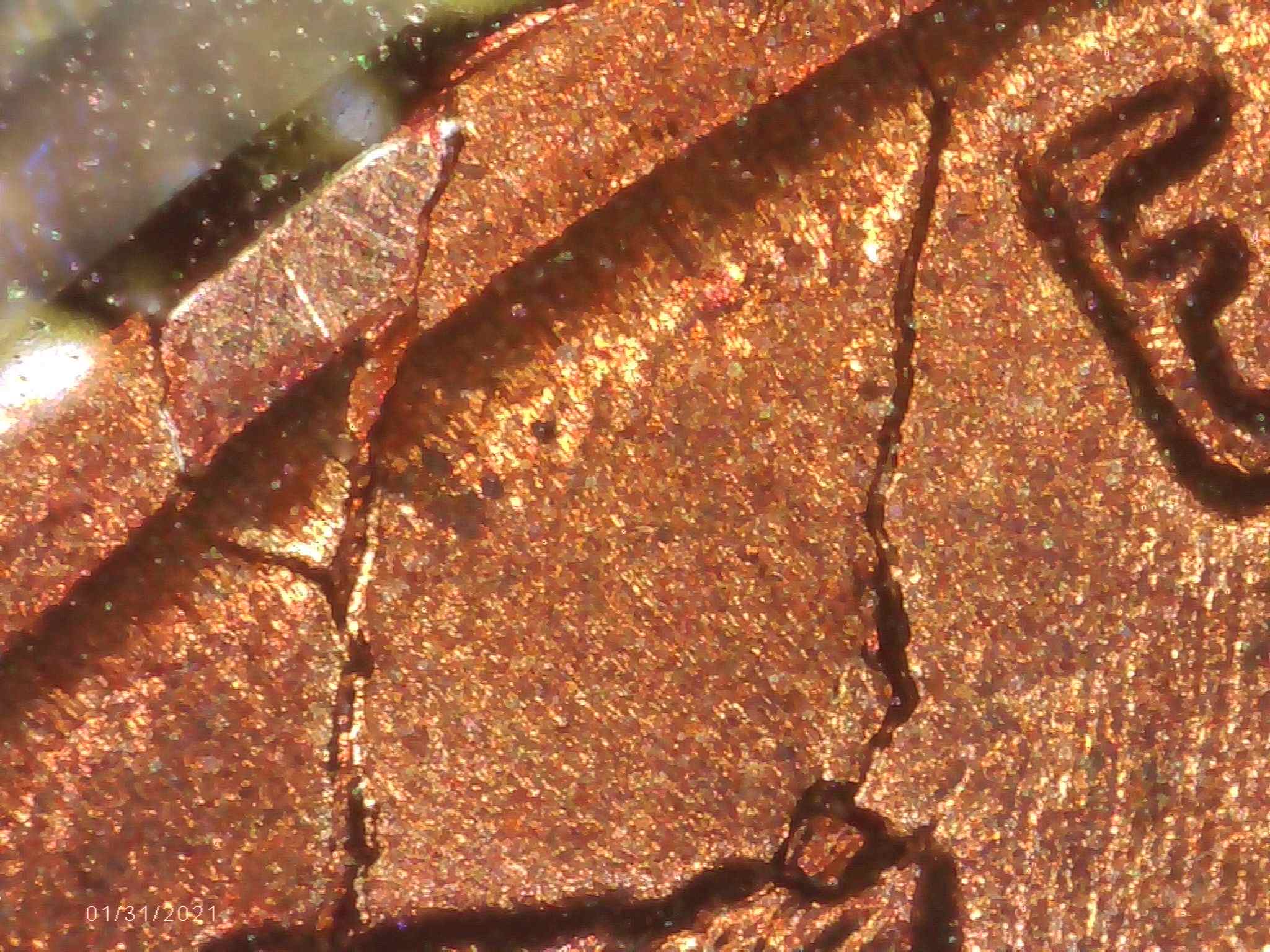 1955-S-One-Cent-Unknown-Error-Or-Damage?