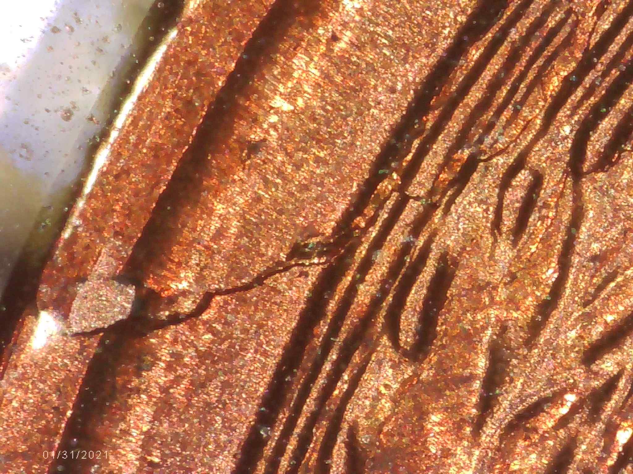 1955-S-One-Cent-Unknown-Error-Or-Damage?