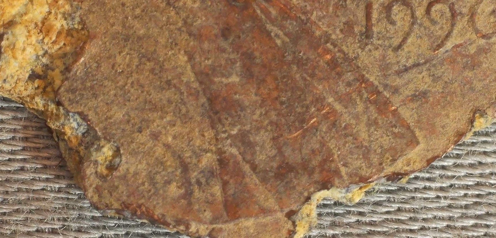 1996-Blow-Hole?-With-Zinc-Rot