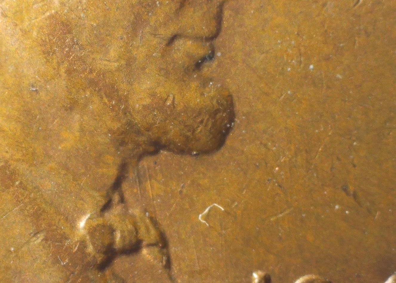 1949-S-Lincoln-Wheat-Cent-1-DO-003-Fs#101