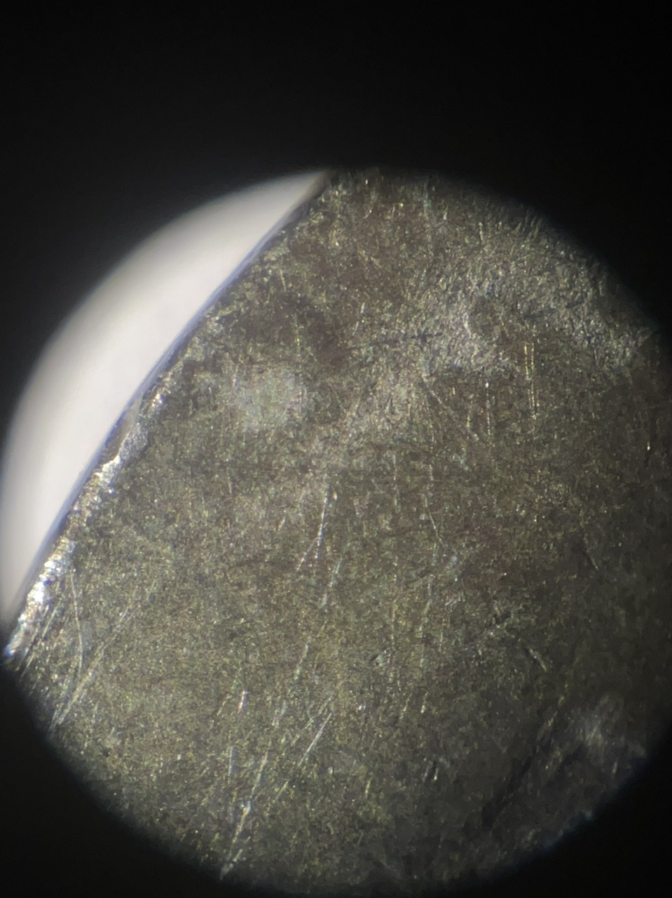 Do-You-Think-This-Cull-ND-Buffalo-Nickel-Is-A-1913-Type-1-With-A-D-Or-S-Mintmark
