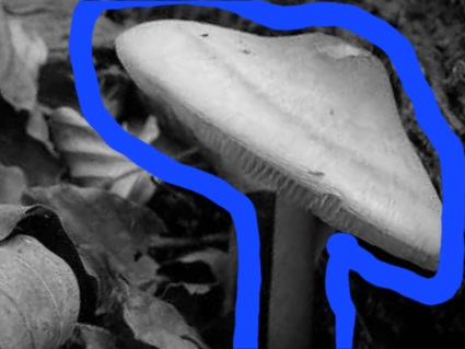 Secret-Ghostly-Images