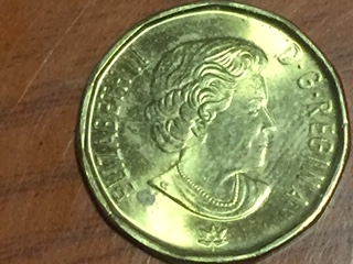 Canadian-Loonie-2017-Die-Crack-Issue