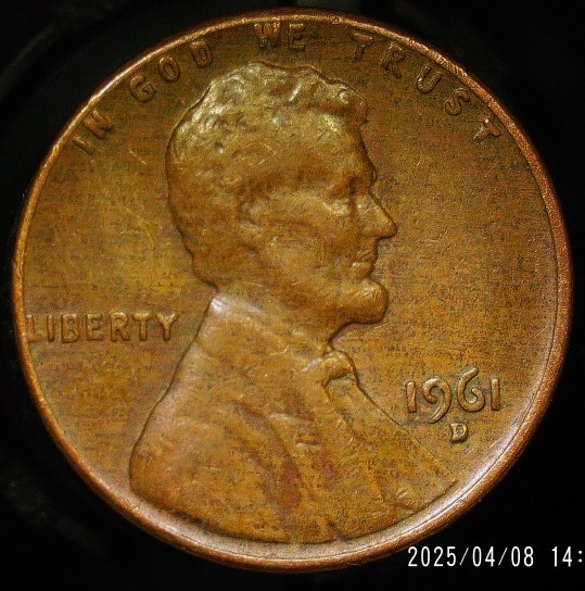 1961-D-Penny-Looks-Like-Wood-Grain?