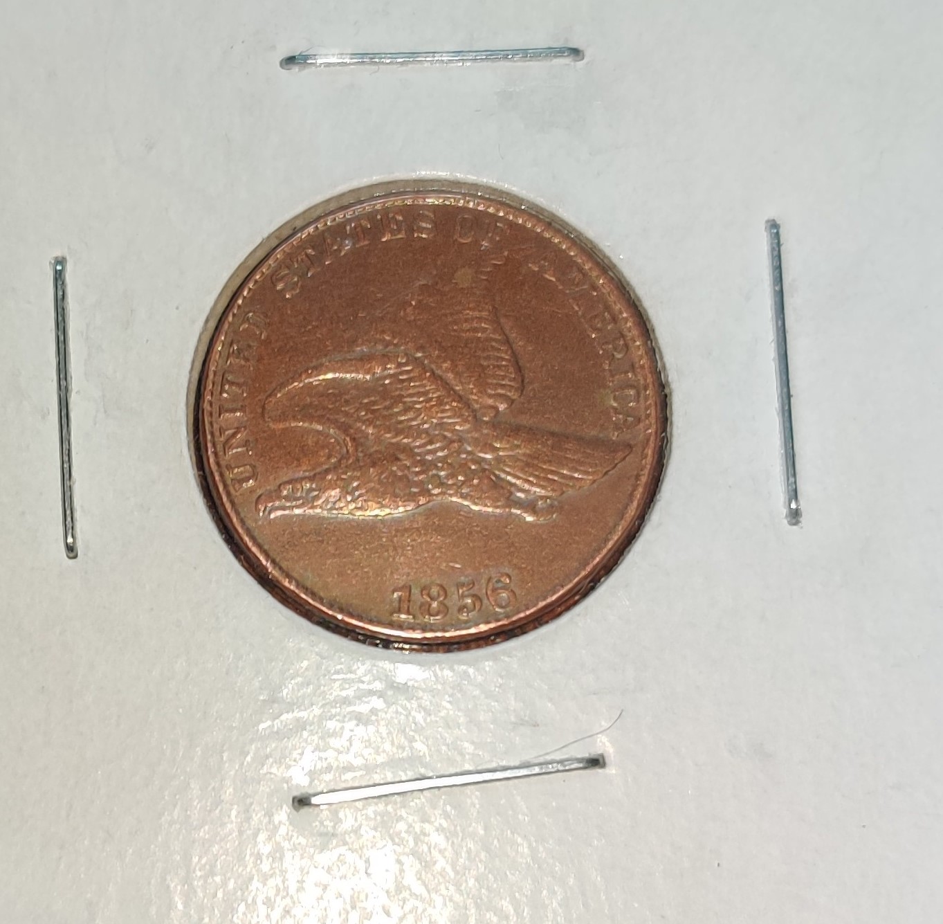 HI-Is-This-Coin-Real-Or-Fake---1856-Flying-Eagle