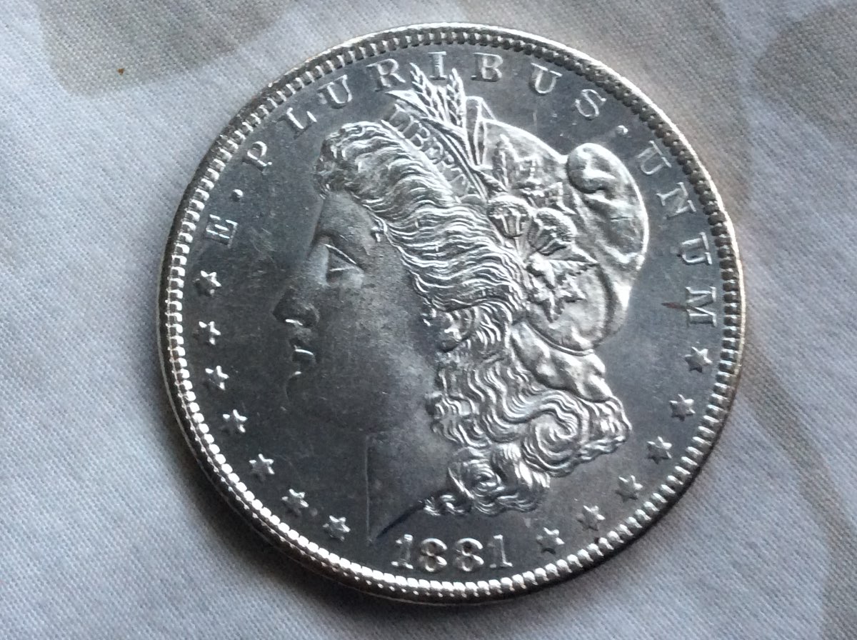 81-CC-GSA-&-81-O-Morgan-For-Grading