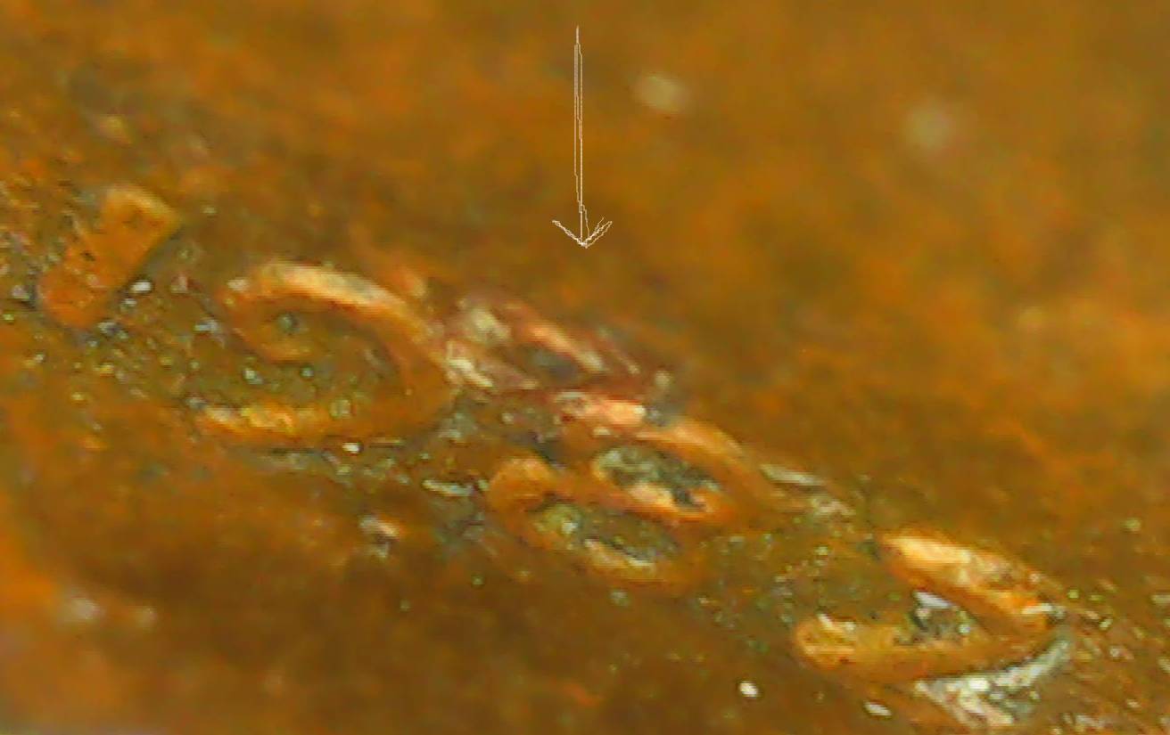 This-1982-Zinc-Penny-Has-A-Couple-Of-Strange-Things-On-It
