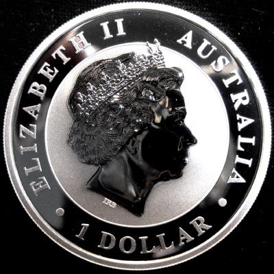 Post-Your-Coins-Representing-The-Animal-Kingdom.