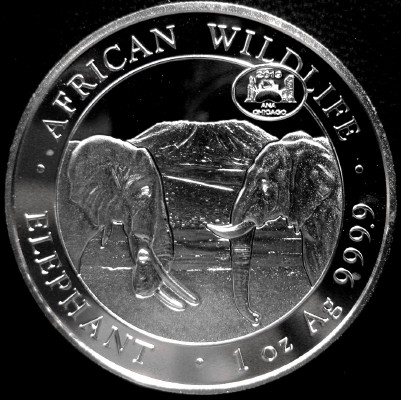 Silver-Bullion-Coin-Series---Photos