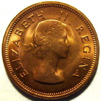Post-Your-Coins-Representing-The-Animal-Kingdom.