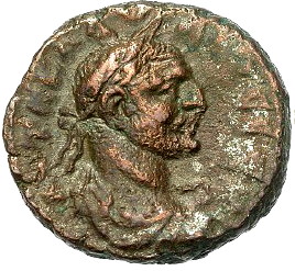 Post-Your-Bird-Coins