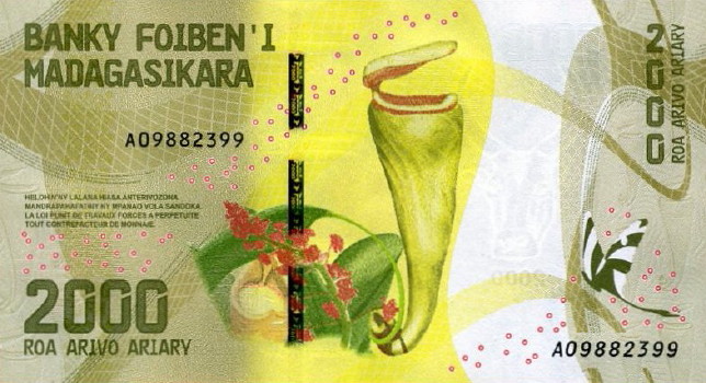 Monkeys-And-Other-Primates-On-Banknotes