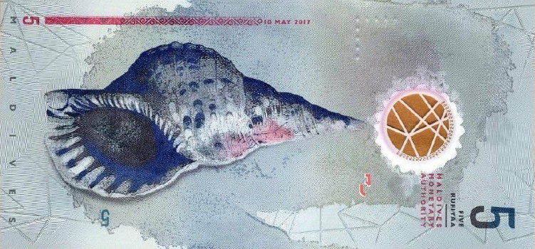Post-Your-Coin-/-Medal-/-Bank-Note-With-A-Shell