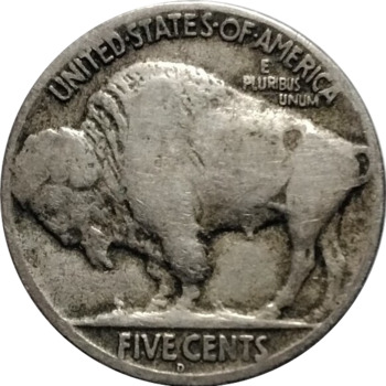 1925-D-Buffalo-For-Grading