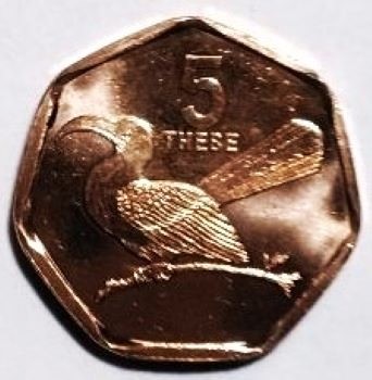 Post-Your-Bird-Coins