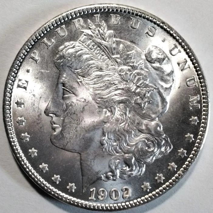 1902-O-Morgan-Dollar-For-Grading
