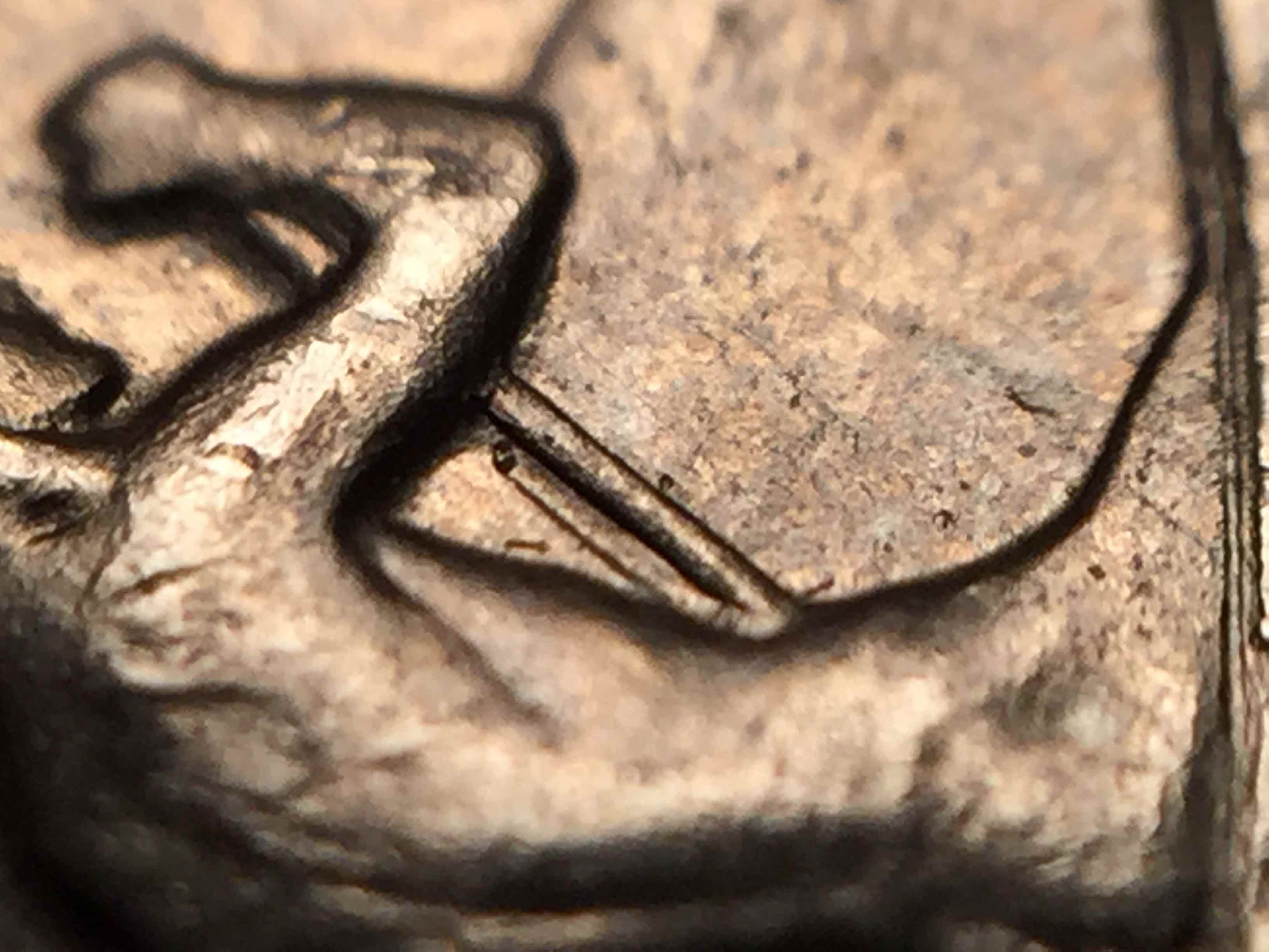 1968-Canada-Nickel-Dollar