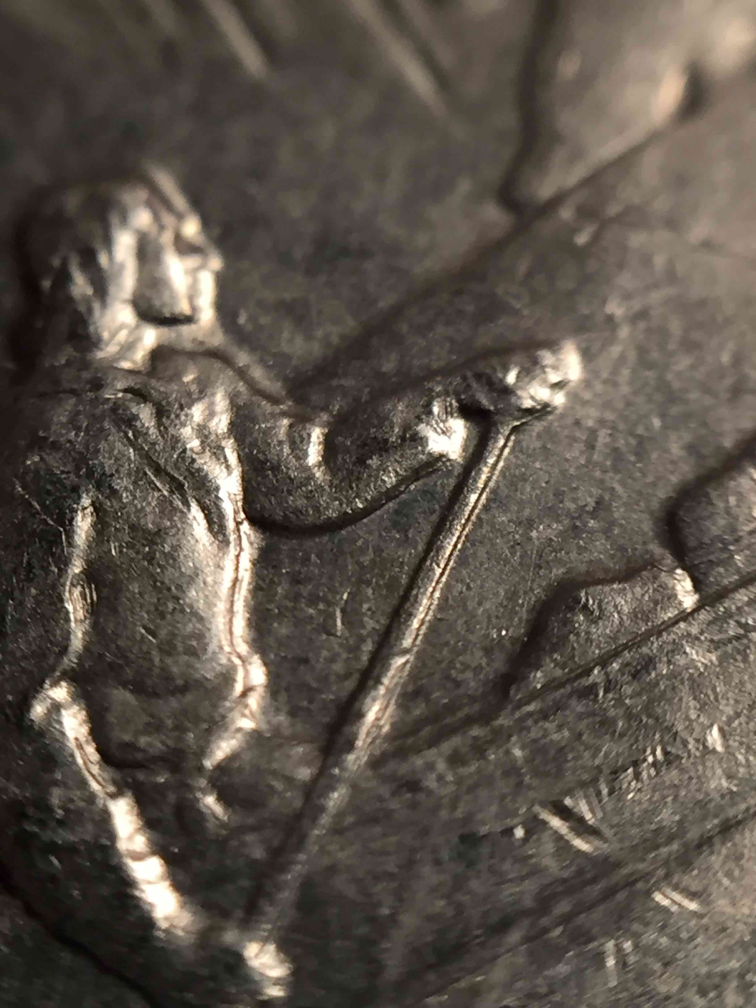 1968-Canada-Nickel-Dollar