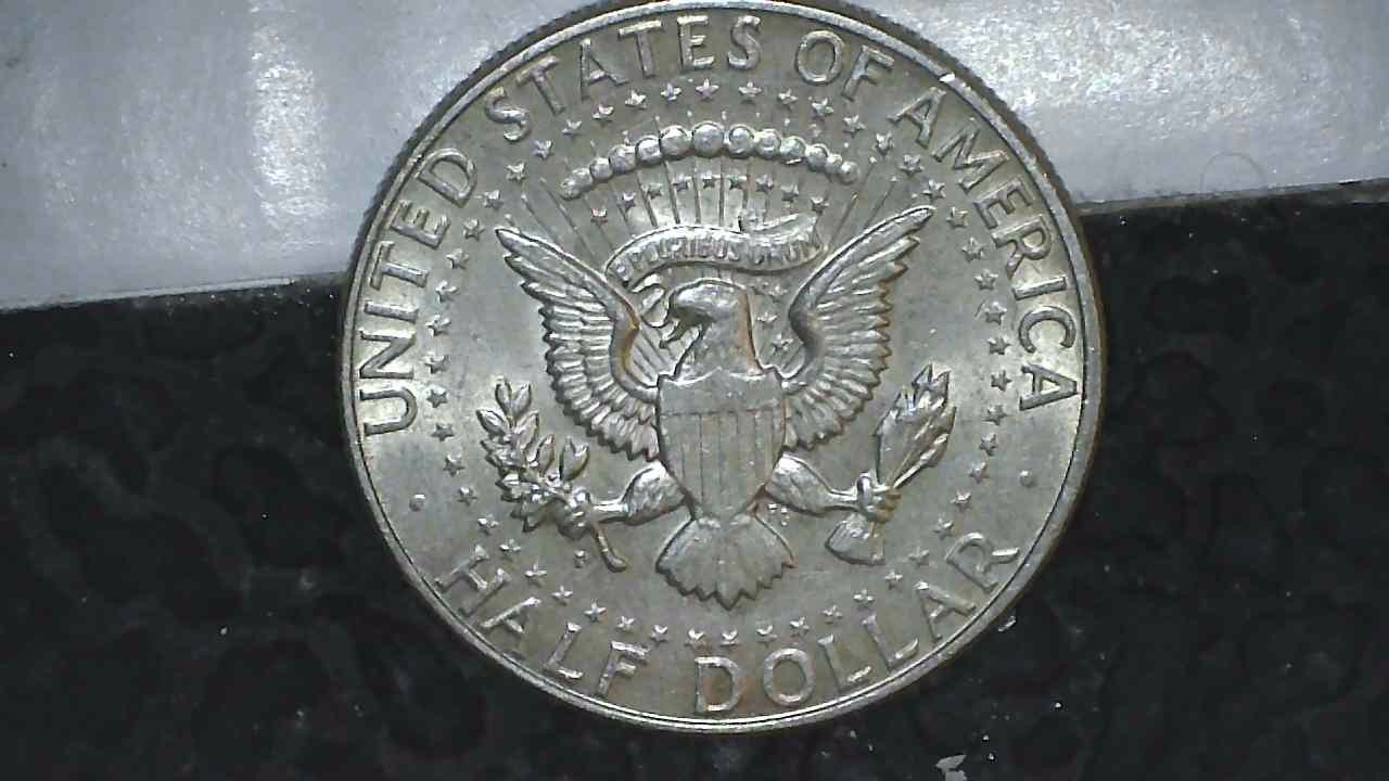 1964-D-Kennedy-Half-Grade-Suggestion-And-Value