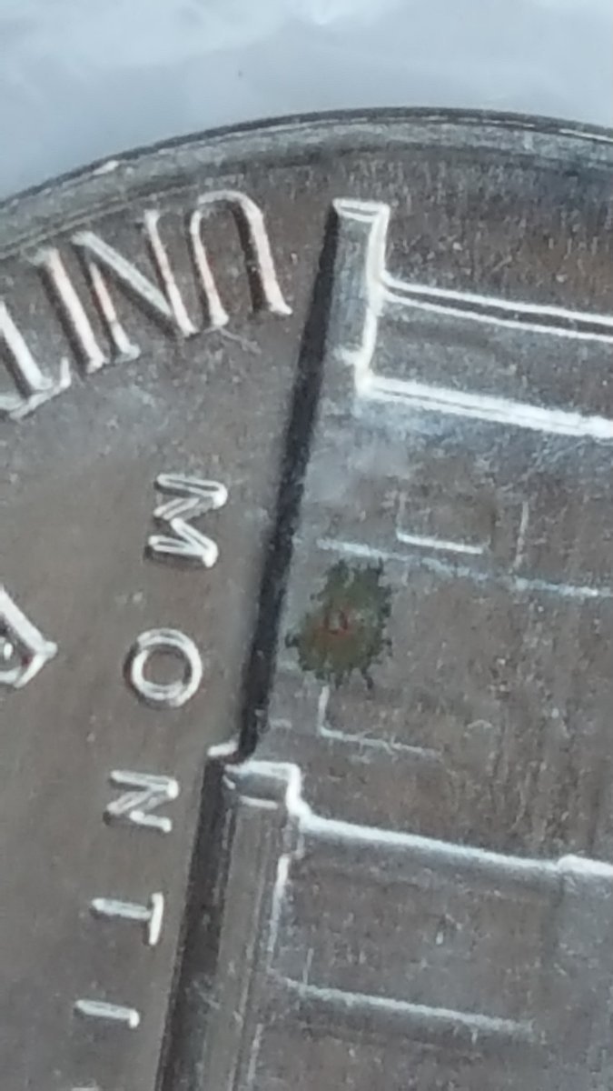 Is-This-An-Error-1965-Special-Set-With-Mint-D-Mark-On-Nickle