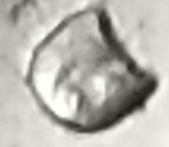 1964-D-Quarter-Frosted-Could-This-Be-Experimental-For-SMS?